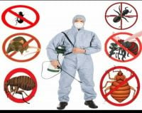 المركز التقني الصحي لمكافحة الحشرات والقوارض دمشق وريف دمشق