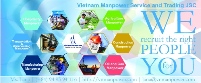 Oil and Gas Manpower service from Vietnam